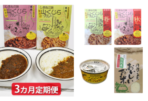 みさと産直 山くじらキーマカレー＆ライスセット【3か月定期便】【定期便 3回定期 お肉 肉 猪肉 イノシシ肉 いのしし肉 しし肉 お米 米 コシヒカリ 加工品 レトルト カレー 缶詰 缶 キーマカレー 大豆 島根県立大学 美郷町役場 共同開発】
