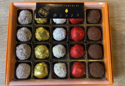 【先行予約・期間限定】柿ショコラ　20個入り【季節限定 チョコレート 20個入り 1箱 果物 フルーツ 柿 干し柿 西条柿 あんぽ柿 まろやか 菓子 スイーツ チョコ なめらか おやつ 期間限定 冬限定 12月中旬～2月下旬発送】