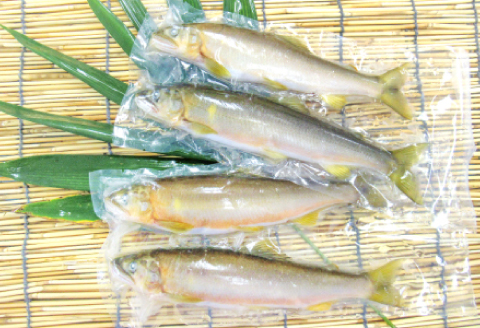 【一級河川・江の川の恵み】島根県産　天然冷凍鮎　約800g【魚介類 魚 川魚 あゆ アユ 天然 冷凍あゆ 高鮮度 冷凍 小分け 便利 期間限定 季節限定 数量限定 夏季限定】