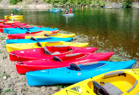 石見ワイナリー カヌーの里おおち カヤック体験 補助券【3000円分 アウトドア 自然 カヤック パドル 体感 体験 江の川 遊び 初心者 アクティビティ 有効期限1年間】