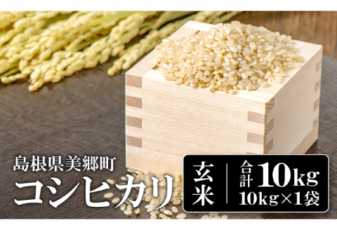 〈先行予約〉新米 令和6年産 美郷町産コシヒカリ 玄米 10kg【お米 10kg 1袋 玄米 ブランド米 米 こしひかり お米 先行予約 2024年産】