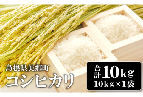 〈先行予約〉新米 令和6年産 美郷町産コシヒカリ 白米 10kg【お米 10kg 1袋 精米 ブランド米 米 こしひかり お米 先行予約 2024年産】