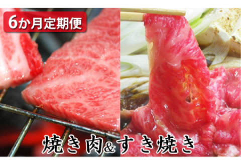 【定期便6ヶ月】石見和牛でちょっと贅沢！焼肉・すき焼き定期便（合計約2.6kg）【定期便 6回 和牛 黒毛和牛 ミックス 肩ロース ロース すき焼き用 焼肉用 スライス スライス肉 肉 牛肉 ブランド牛 石見和牛 希少 雌牛 メス牛 血統 最高級 贅沢 ご褒美 毎月お届け 定期 おかず すき焼き 焼き肉 焼肉 贈答 お祝い ギフト プレゼント 冷蔵 チルド】