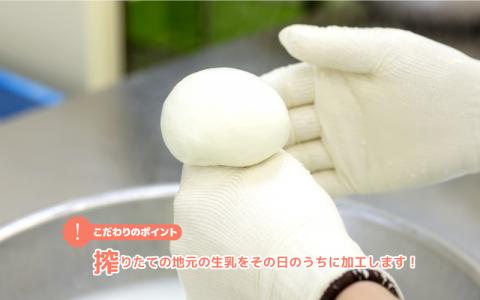 ナチュラルチーズ4種詰め合わせ（ストリング・ゴーダ・カマンベール・のどぐろだし醤油漬けモッツアレラ）