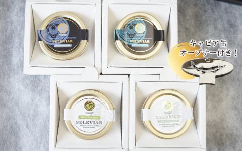 キャビア4種食べ比べセット計40g（4種各10g）