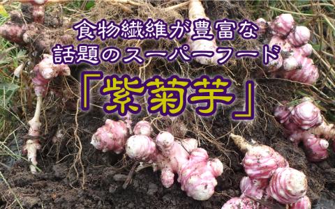 紫菊芋茶（煮出し用）100g×3袋