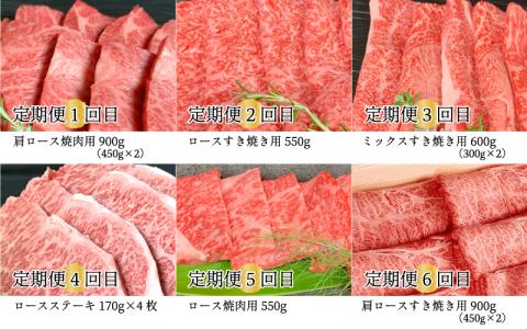 【定期便-6ヶ月】石見和牛スペシャル定期便 （焼肉・ステーキ・すき焼き）総重量約4.2kg