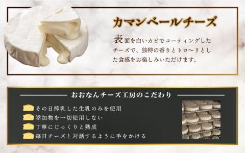 【島根県産】カマンベールホール　（200g×2個）