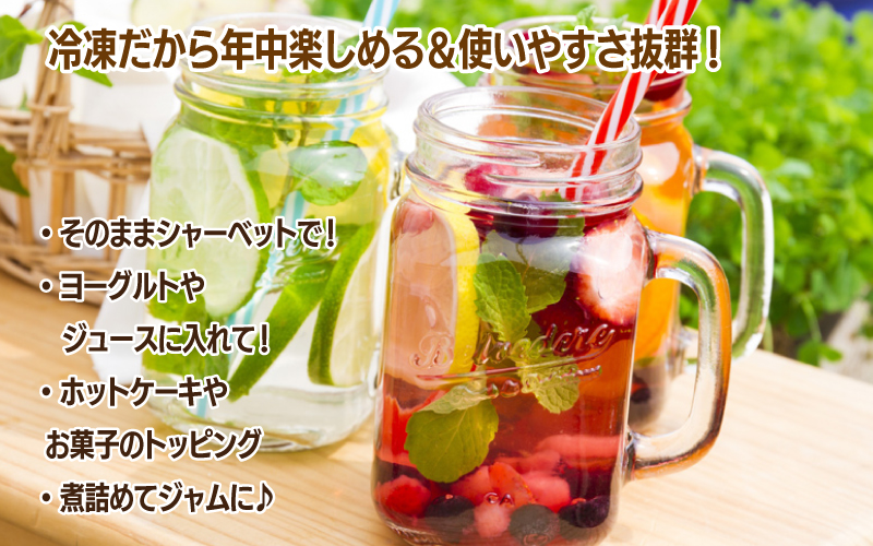 【先行予約】有機 冷凍ブルーベリー1.6kg（400g×4パック)