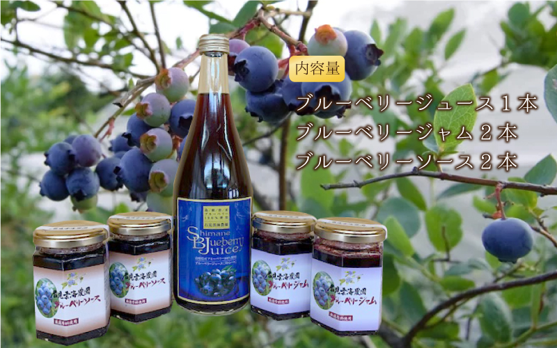ブルーベリー加工品3点セット