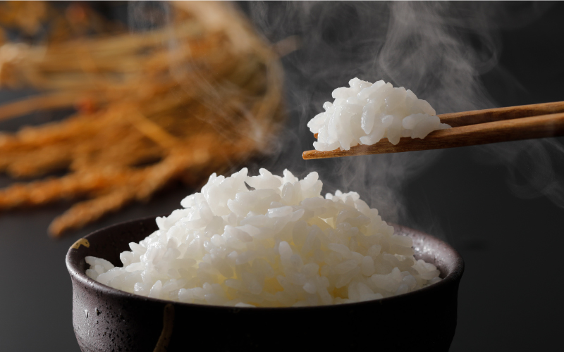 令和7年産!　石見高原みずほ米コシヒカリ 無洗米仕上　10kg