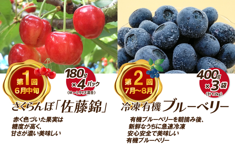 【先行予約】【数量限定】新鮮フルーツの定期便 年4回お届け（さくらんぼ佐藤錦、冷凍ブルーベリー、ピオーネ、シャインマスカット）