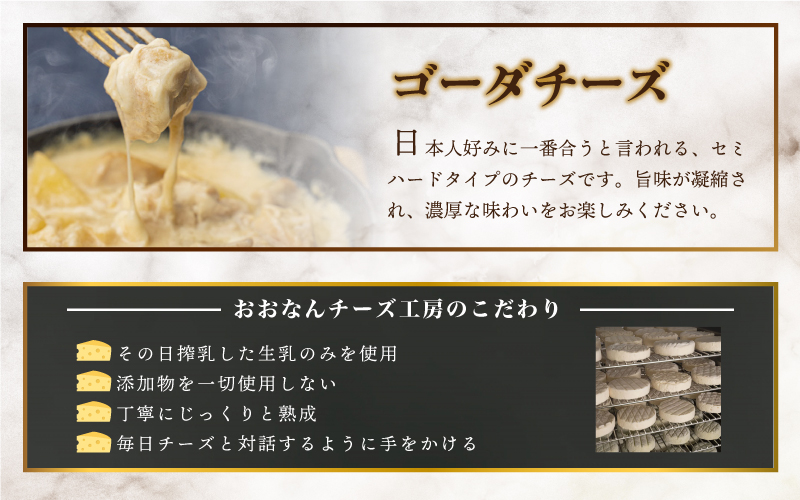 【定期便2回】熟成チーズセット（ ゴーダチーズ100g・カマンベールチーズ200g）