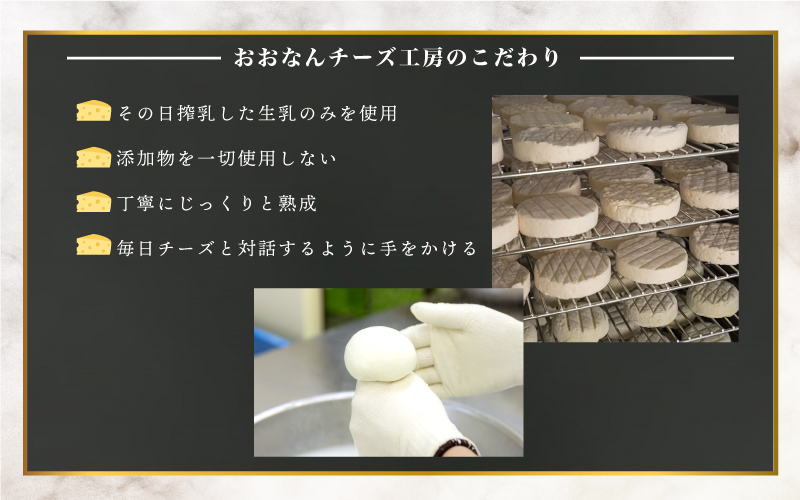 ナチュラルチーズ4種（ストリング・のどぐろだし醬油漬けモッツァレラ・カマンベールハーフ・干し柿入りリコッタ）