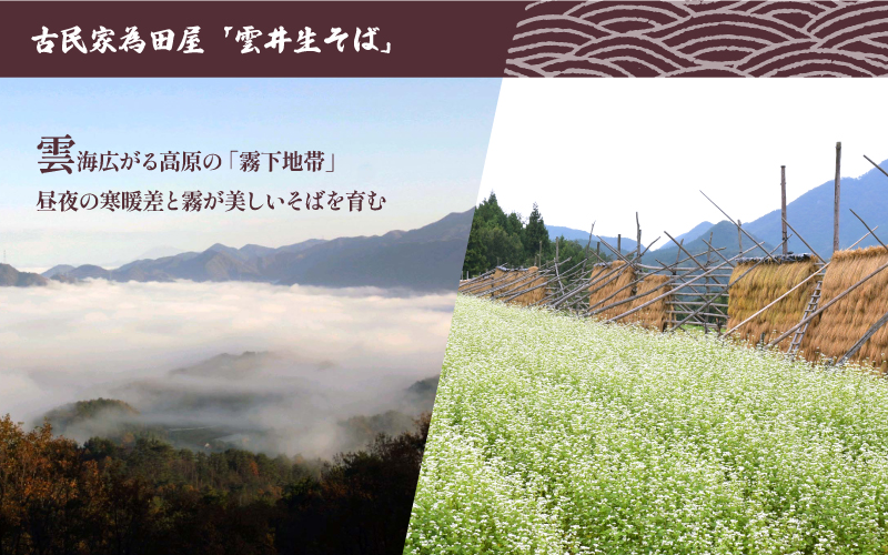 雲井生そば（冷凍）5人前 特製つゆ付 打ちたて直送