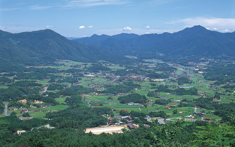 【先行予約】邑南のさくらんぼ（佐藤錦）720g