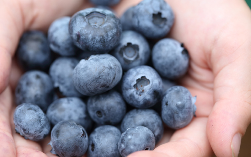 ブルーベリー加工品3点セット