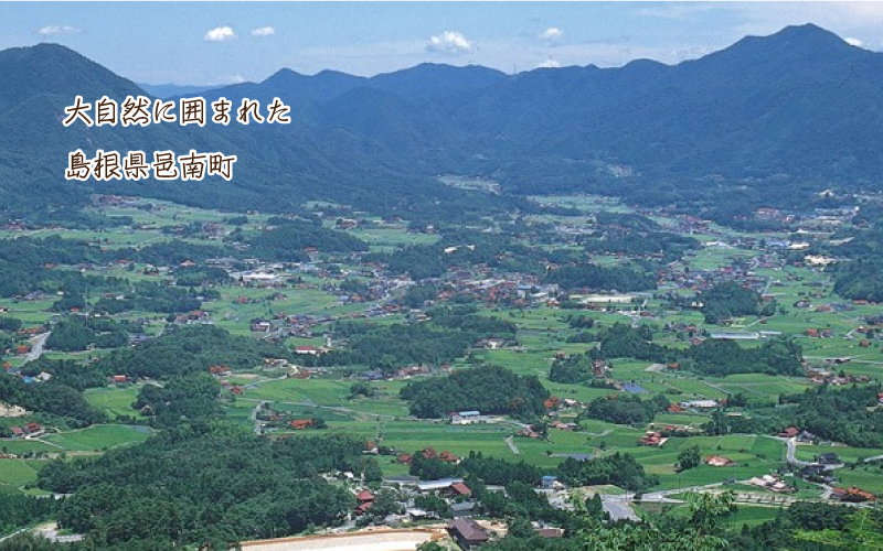 【先行予約】邑南のさくらんぼ（紅秀峰）720g