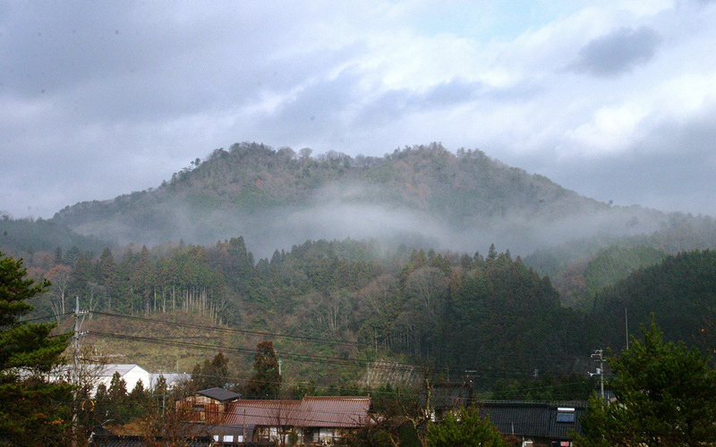 本格杵つき餅（白・よもぎ）と二ツ山まんじゅうのセット