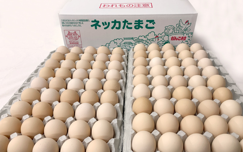  新鮮 石見のネッカたまご 90個 美味しまね認証