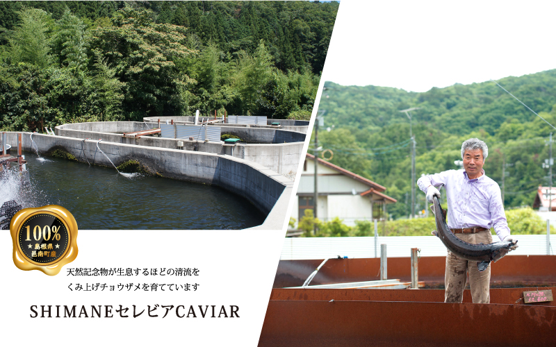 喜 Yorokonbu Caviar