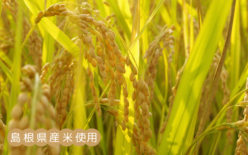 毎日あまざけ生活　180ｇ×30個