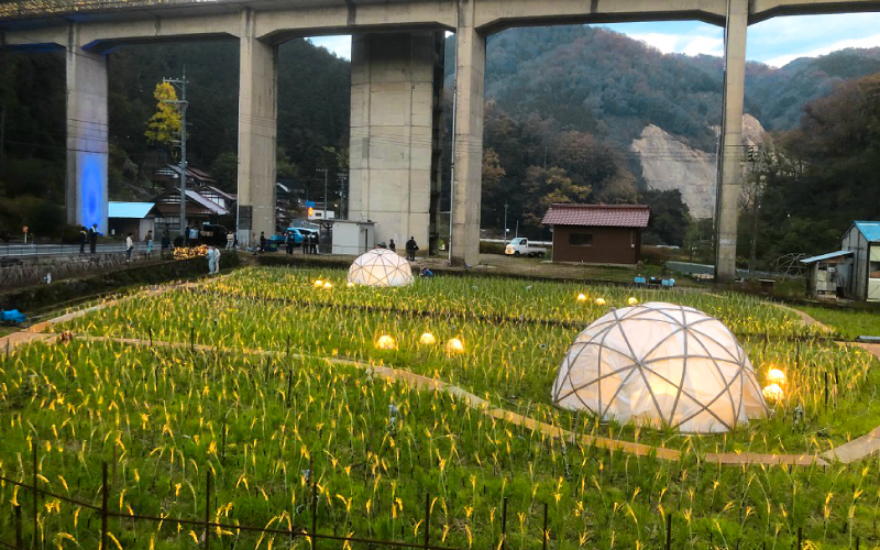 純米酒 INAKAイルミ 宇都井 稲穂の灯り 五百万石 70 720ml　池月酒造