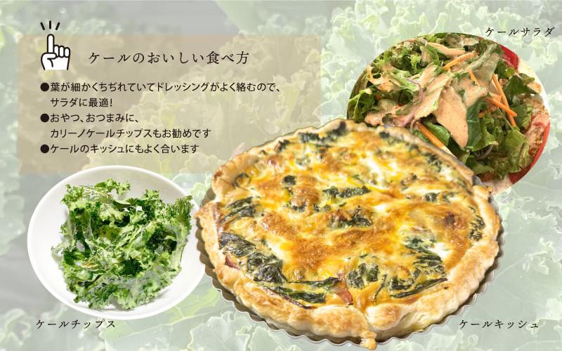 カリーノケール1kg　6月よりお届け