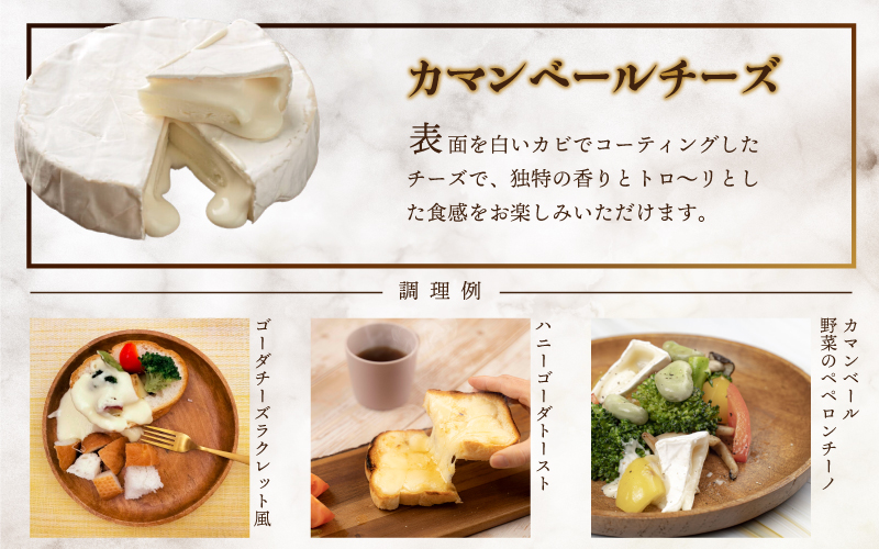 【定期便3回】熟成チーズセット（ ゴーダチーズ100g・カマンベールチーズ200g）