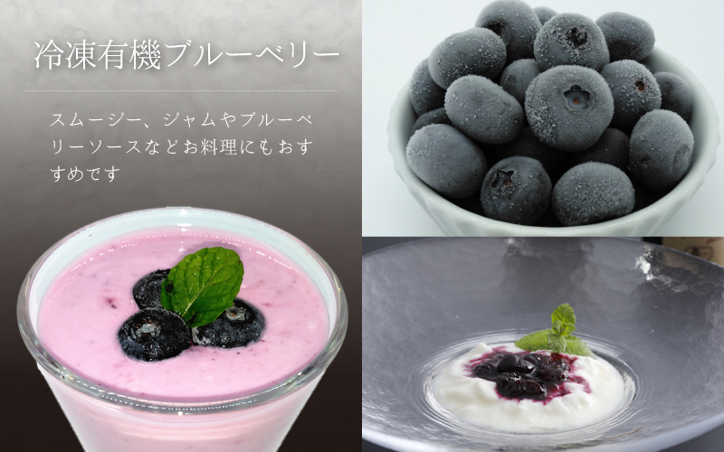 【先行予約】冷凍 有機ブルーベリー 1.2kg（400g×3袋）