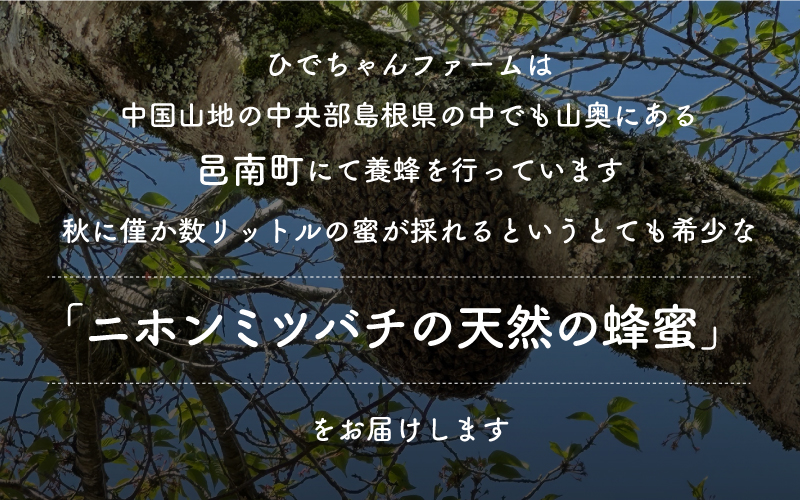 日本ミツバチ　ひでちゃんの蜂蜜