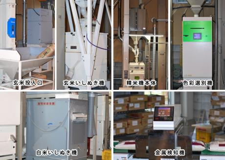 【期間限定】きぬむすめ12kg