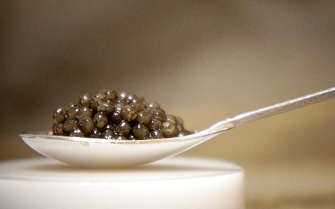 キャビア「シロ」10g