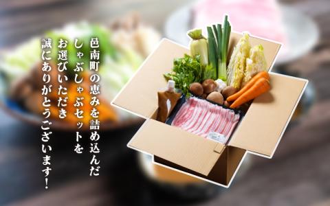 【先行予約】【数量限定】朝どれ野菜のしゃぶしゃぶセット 2人前