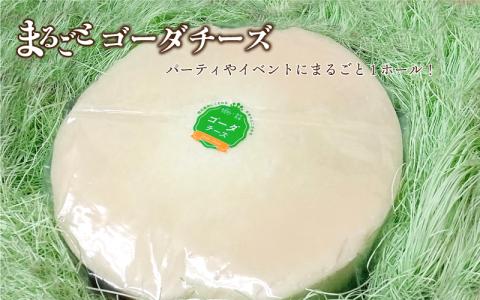 まるごと ゴーダチーズホール 8kg