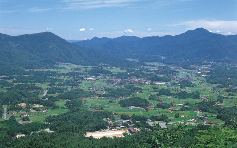  令和7年産【定期便3回】邑南町産きぬむすめ10kg