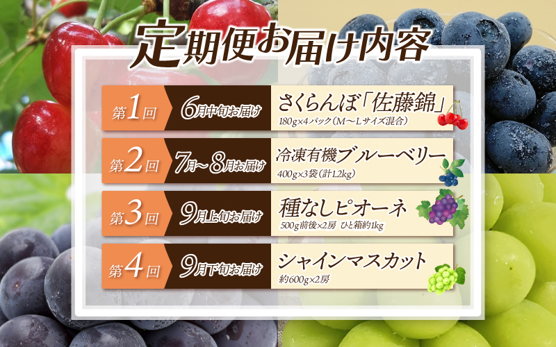 【先行予約】【数量限定】新鮮フルーツの定期便 年4回お届け（さくらんぼ佐藤錦、冷凍ブルーベリー、ピオーネ、シャインマスカット）