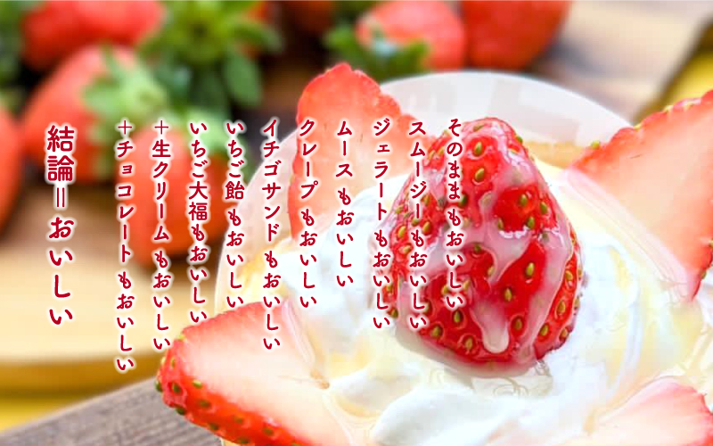 【先行予約】いちご かおり野 合計800g（約200g×4パック） 果物 フルーツ 【1月中旬から順次発送】