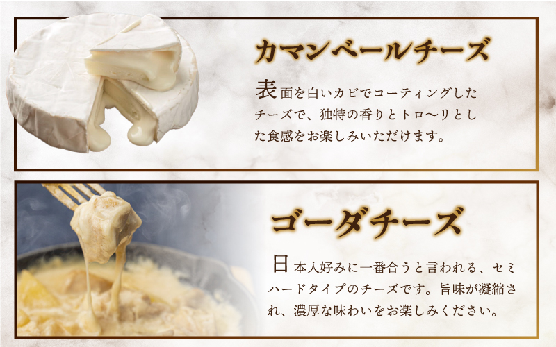 ナチュラルチーズ5種詰合せ（モッツァレラ2種・ストリング・ゴーダ・カマンベール）