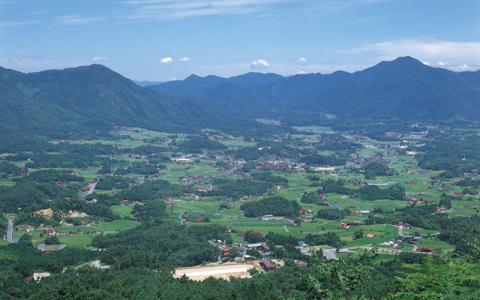 【期間限定】きぬむすめ12kg