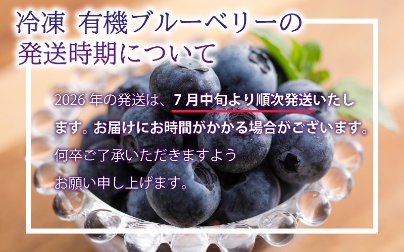 【先行予約】冷凍 有機ブルーベリー 1.2kg（400g×3袋）