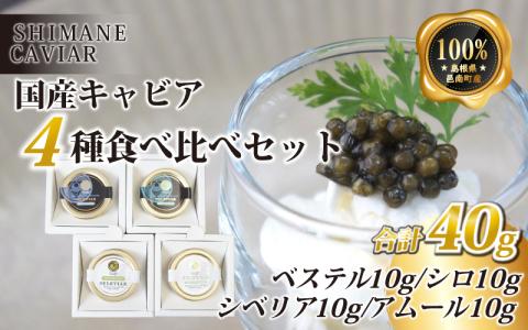 キャビア4種食べ比べセット計40g（4種各10g）