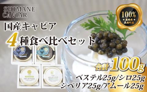 キャビア4種食べ比べセット計100g（4種各25g）