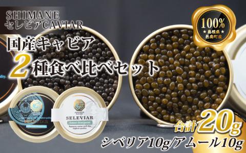 キャビア2種セット計20g（シベリア10ｇ・アムール10ｇ）