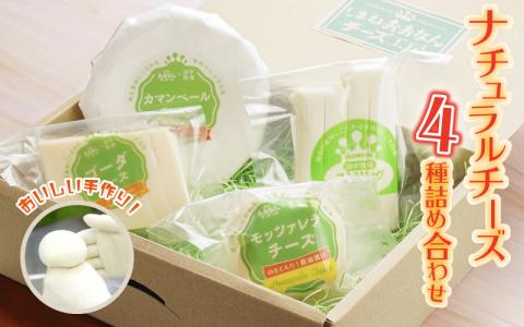 ナチュラルチーズ4種詰め合わせ（ストリング・ゴーダ・カマンベール・のどぐろだし醤油漬けモッツアレラ）