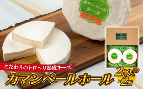 【島根県産】カマンベールホール　（200g×2個）