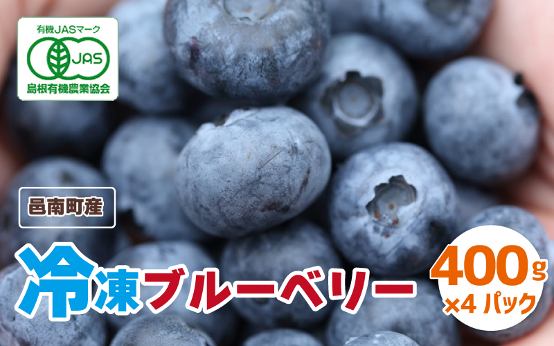 【先行予約】有機 冷凍ブルーベリー1.6kg（400g×4パック)