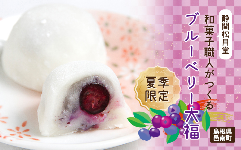【先行予約】【期間限定】和菓子職人がつくるブルーベリー大福6コ入　2パック