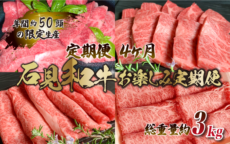 【定期便-4ヶ月】石見和牛お楽しみ定期便 （焼肉・すき焼き）総重量約3kg