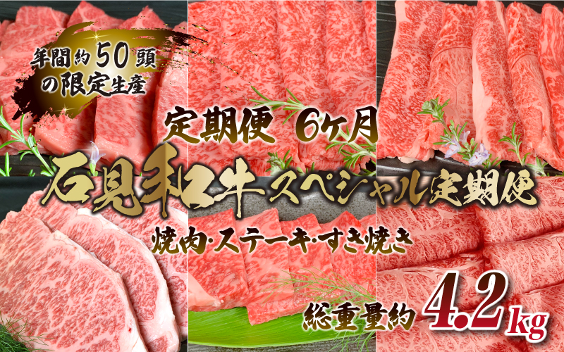 【定期便-6ヶ月】石見和牛スペシャル定期便 （焼肉・ステーキ・すき焼き）総重量約4.2kg